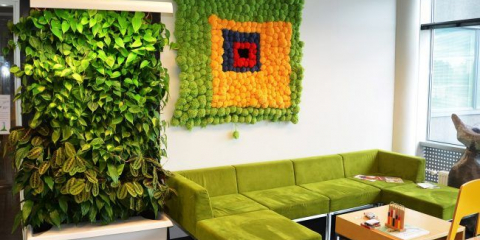 Вертикална градина в апартамента: 60+ зашеметяващи идеи на зеления ъгъл го правят сами